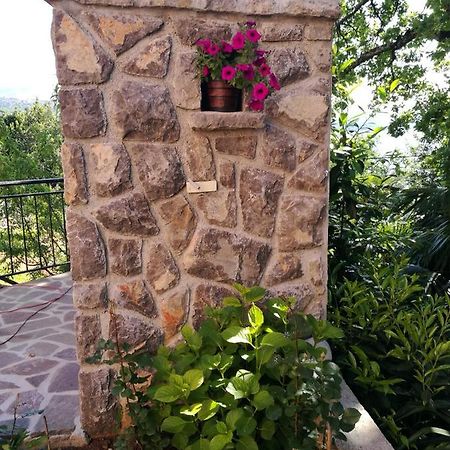 Apartman Nekic Opatija Buitenkant foto